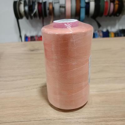 Cone 4573 saumon