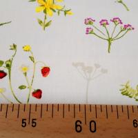 Coton lavish agf 3