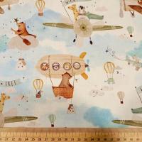 D aviateur 3