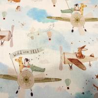 D aviateur jpg2