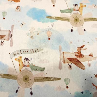 D aviateur jpg2