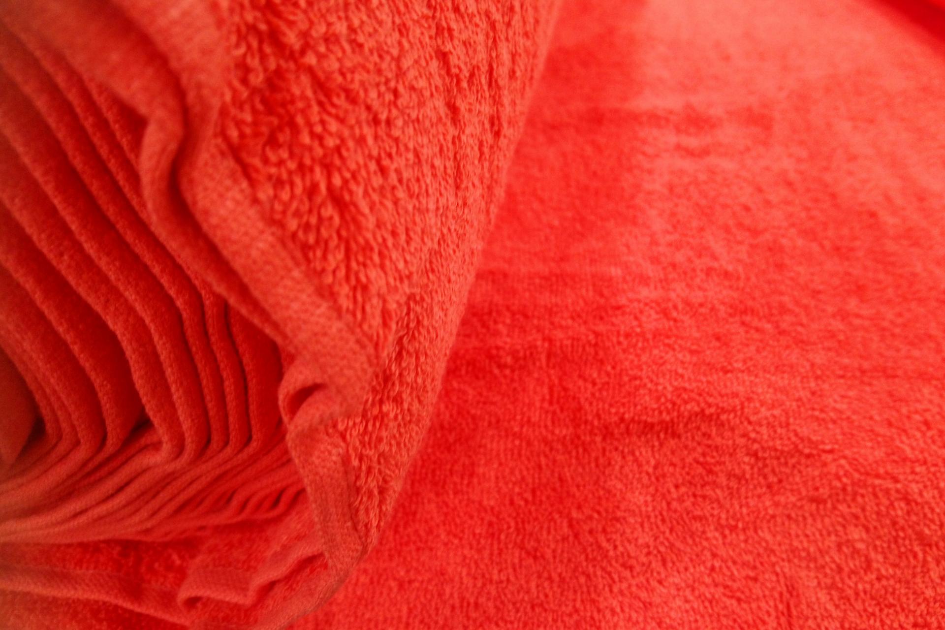 Eponge corail 1