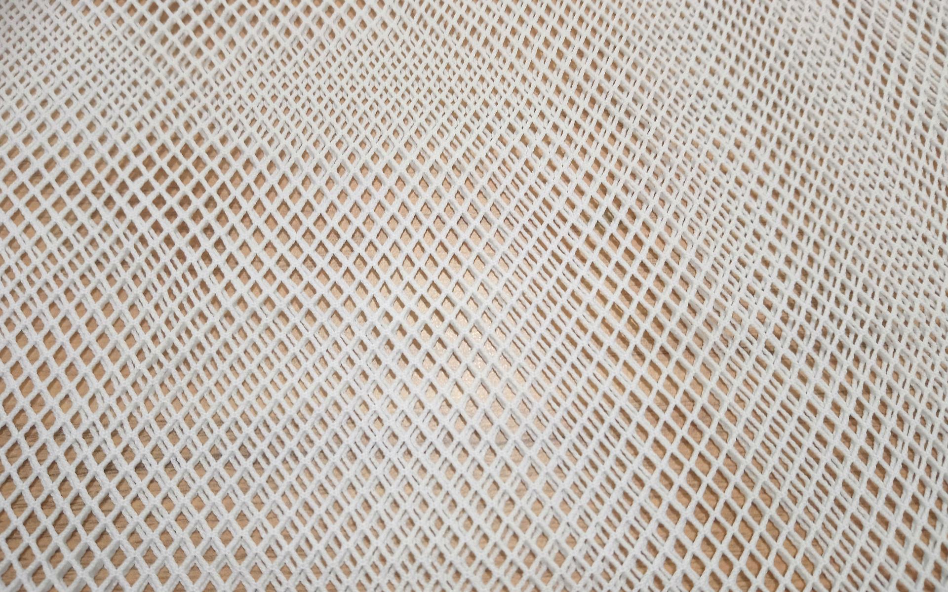 Filet mesh 1