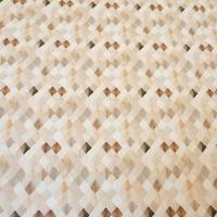 Jersey sable 3