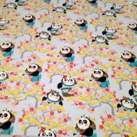 Kung fu panda 1