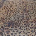 Leopard 2