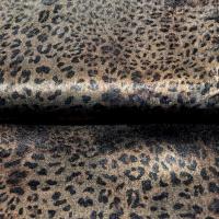 Leopard 4