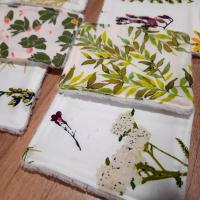 Lingette herbier 2