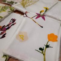 Lingette herbier 4
