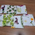 Lingette herbier