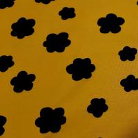 Nuage noir 2