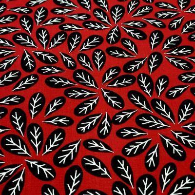 Photinia 1