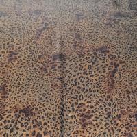 Q leopard camel