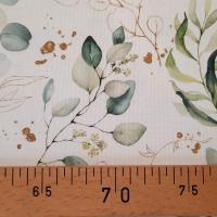 V canvas blanc eucalyptus jpg3