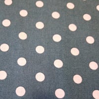 V pois coton petrole jpg2