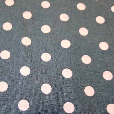V pois coton petrole jpg2