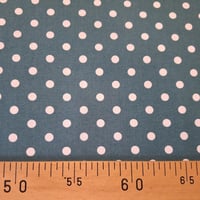 V pois coton petrole jpg3