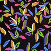 V rosella stretch alba jpg2